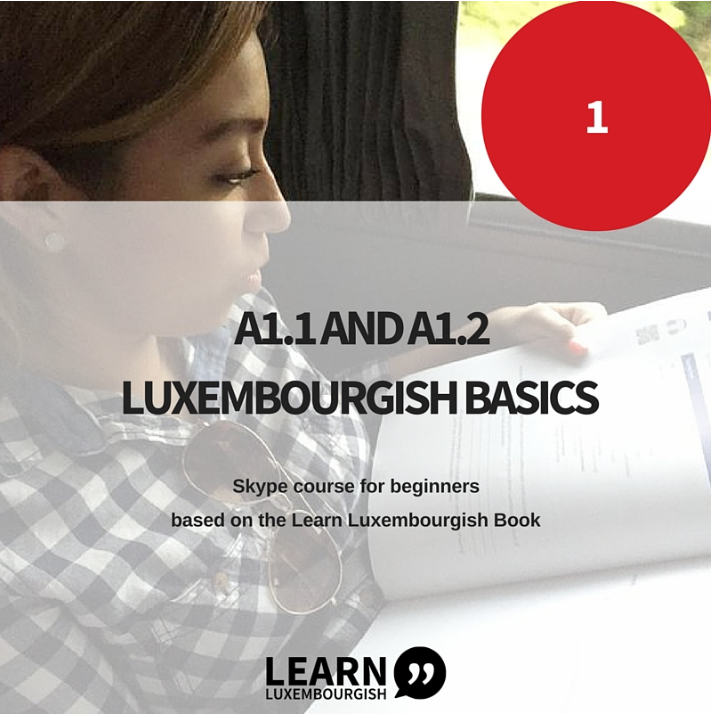Learn Luxembourgish textbook