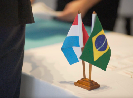 luxembourg dual citizenship, Luxembourg Dual Citizenship Eligibility 2025 Qualifications, luxcitizenship.com